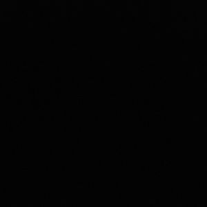 Meet your Posher, Bella